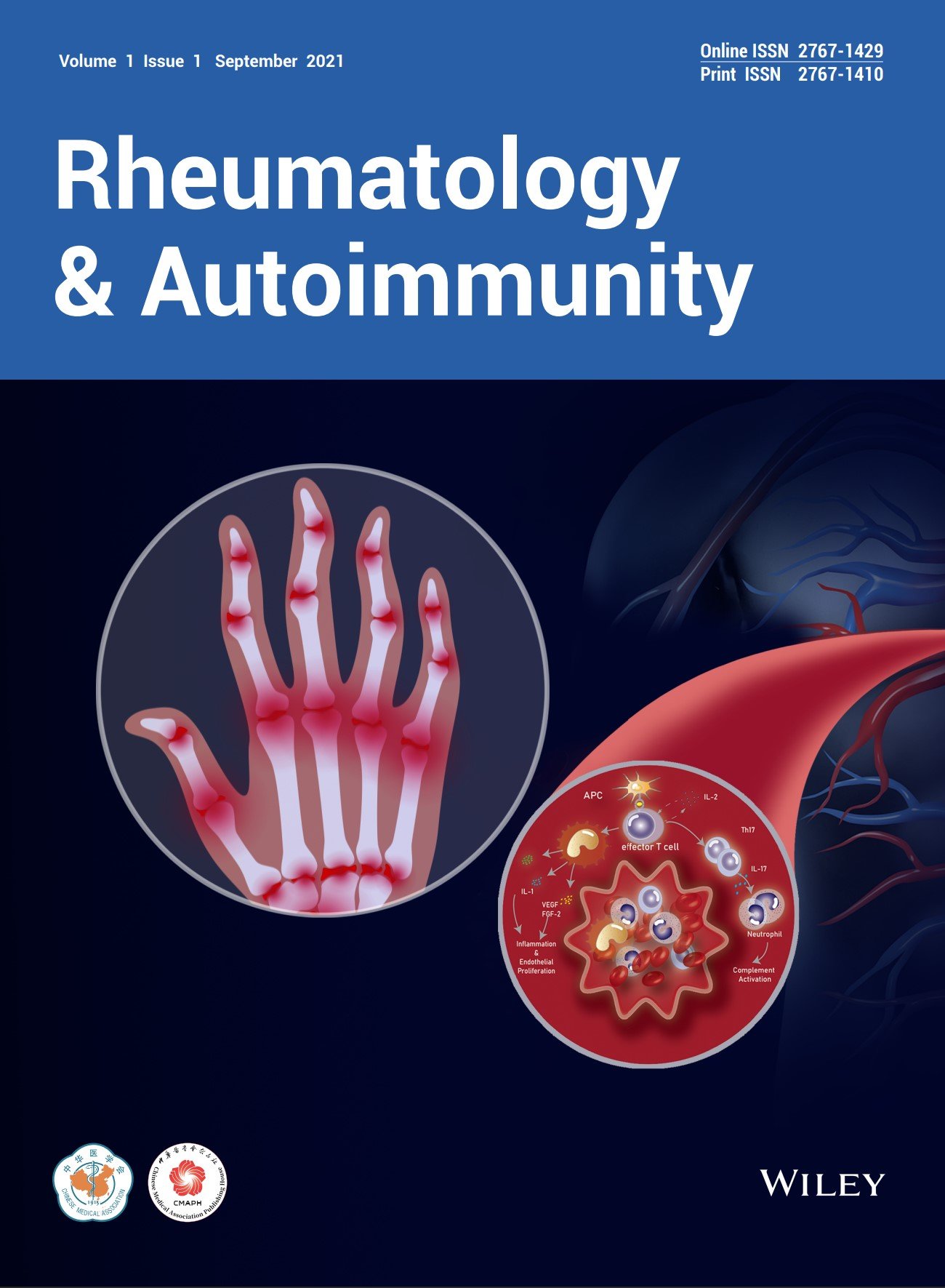 Systemic Autoinflammatory Diseases: Clinical Rheumatic